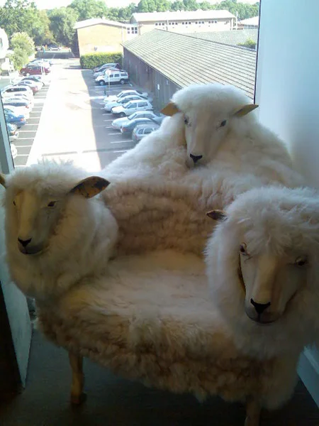 10. The sheep chair