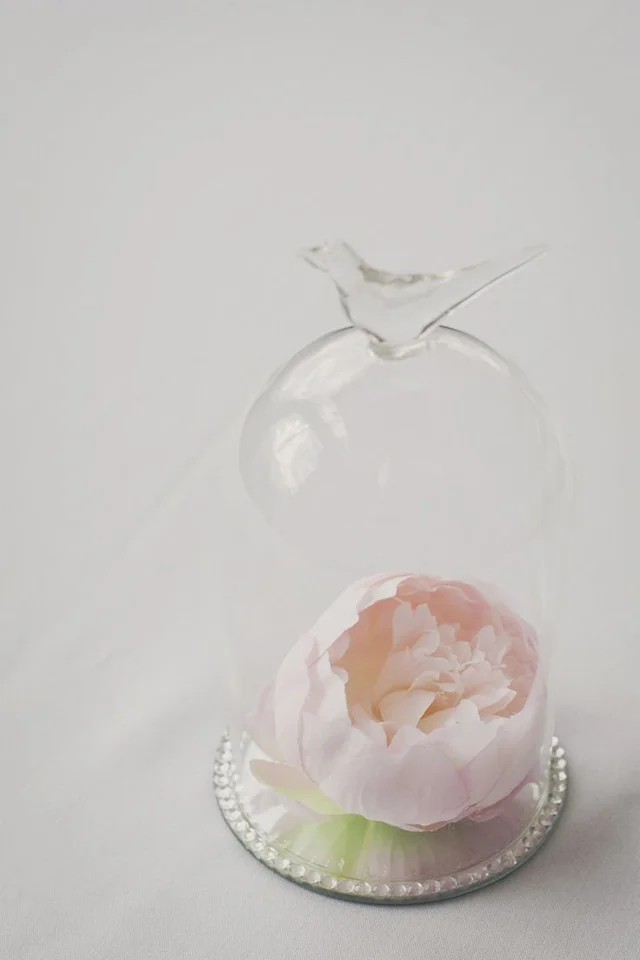 32 Simply Breathtaking Bell Jar and Cloche Decorating Ideas For Magical Weddings homesthetics decor ideas 