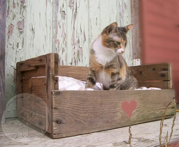 #49 Use salvaged wood to construct a pet bed