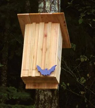 THE STRIPED BAT BOX