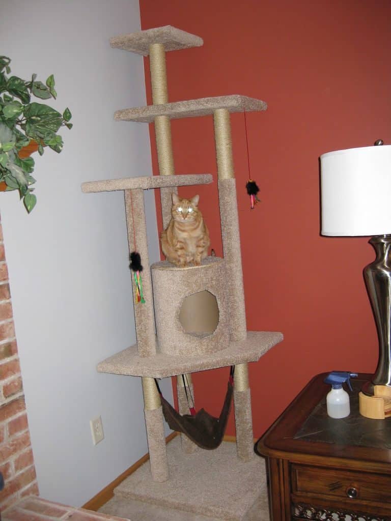 PICKLE PERFECT ON HOW TO BUILD A CAT TREE  