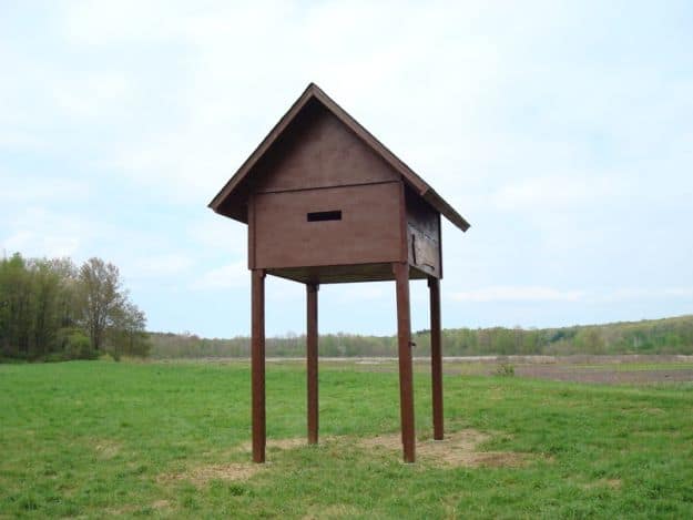  CONDO FOR BATS