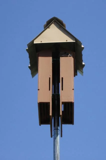  A BAT BOX FROM FLORIDA