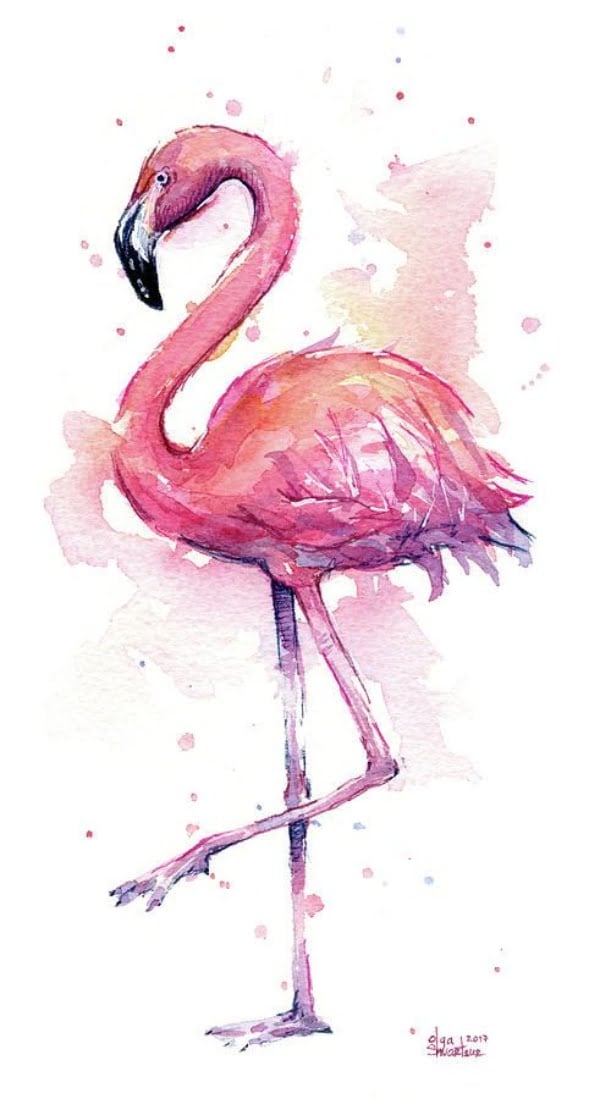 Flamingo  watercolor
