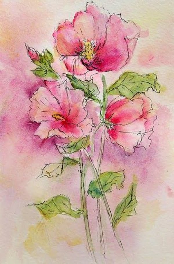 Hibiscus watercolor