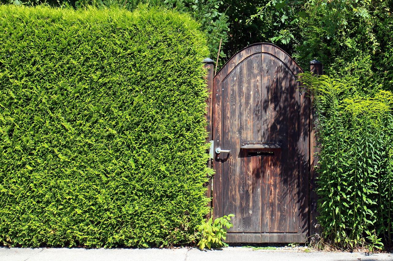 Trees And Shrubs