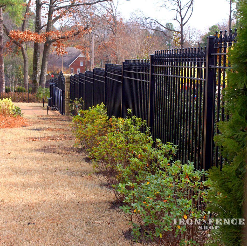 Wrought Iron Fence