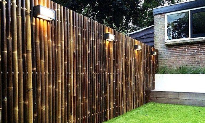 Bamboo Fence