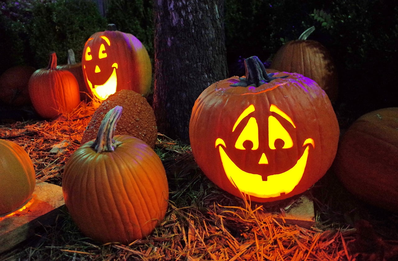 Pumpkin Drawing Ideas for Your Halloween Pumpkin