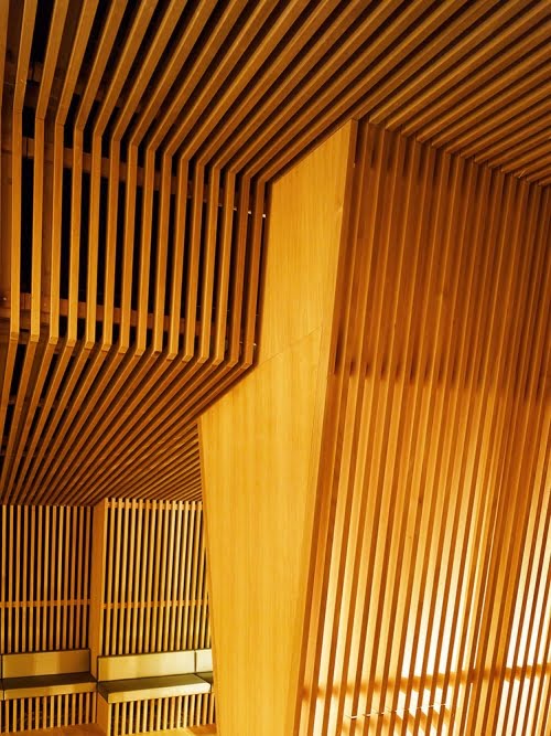 Thermalbad Zürich-Transforming a Brewery Into a Spa wood design