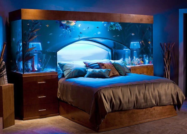 fishtank above the bed an extraordinary way to illuminate your head at night with nature
