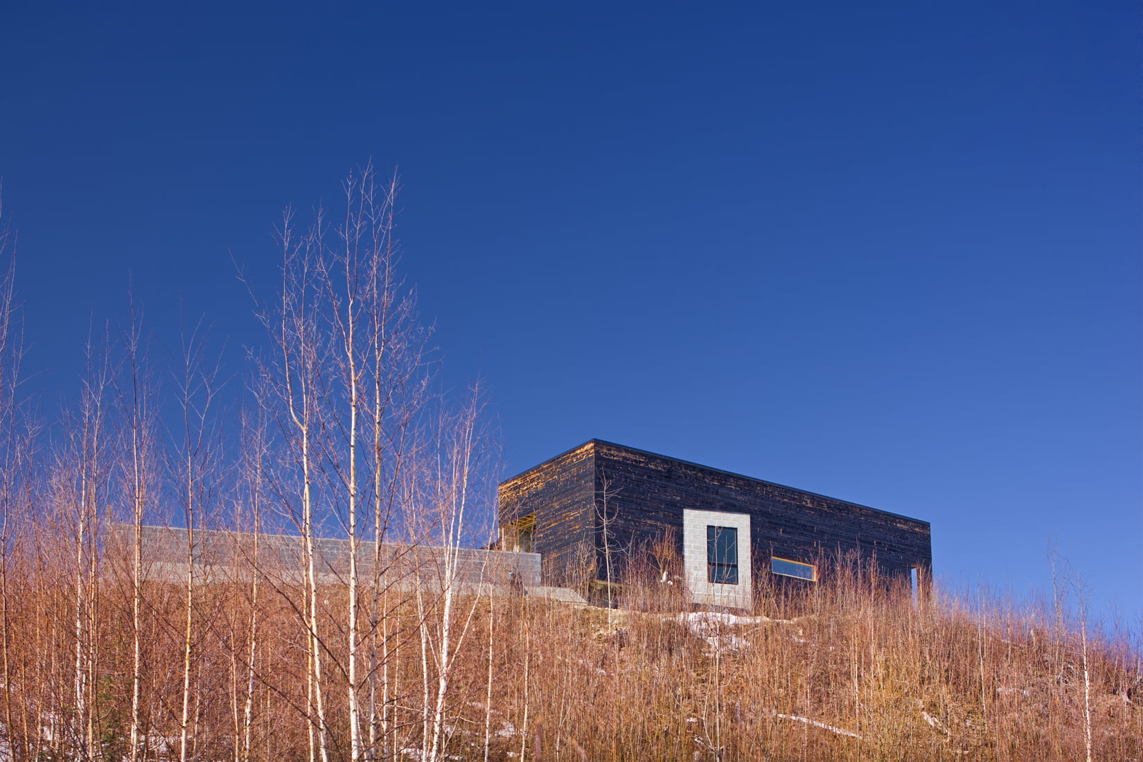 Modern Dream Home in the Wild-House for a Musher by Mayer Sattler-Smith Homesthetics