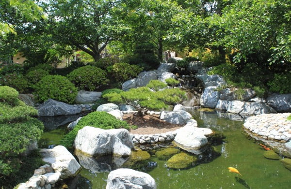  rock garden