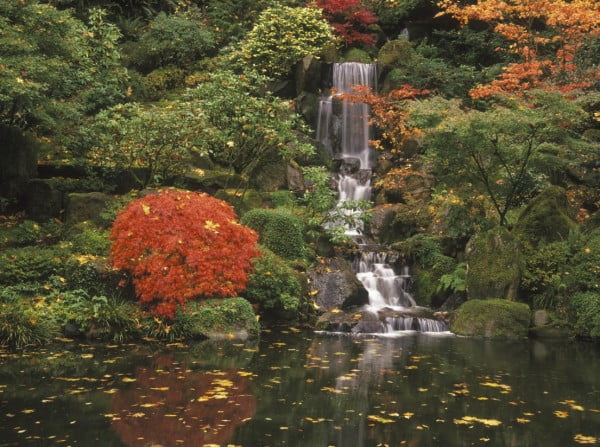 Backyard Landscaping Ideas Japanese Gardens pond