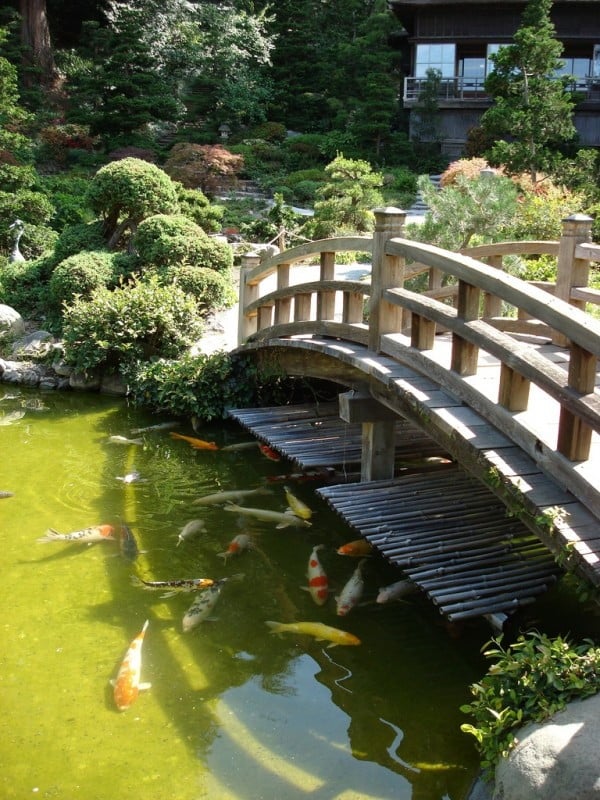 Backyard Landscaping Ideas Japanese Gardens koi fish brideg