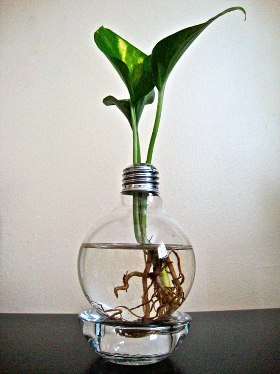 Creative DIY Flower & Herbs Pots homesthetics