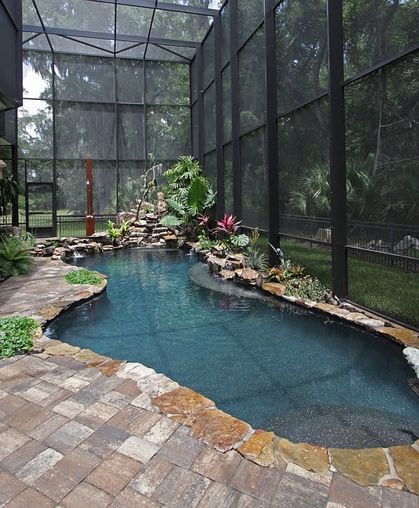 Creative Small Indoor Pool That Mimics a Tropical Pond