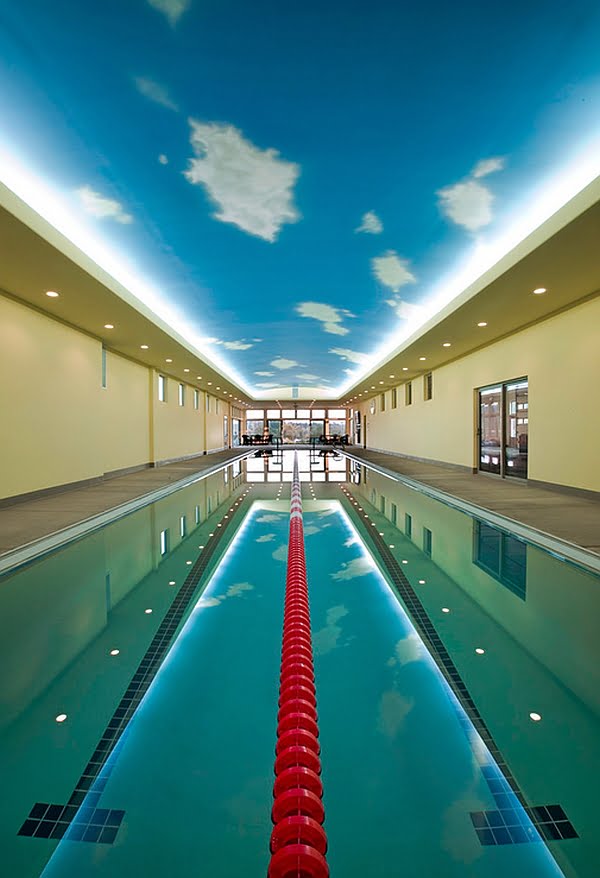 Olympic Size Swimming Pool For Professional Swimming Training at Home