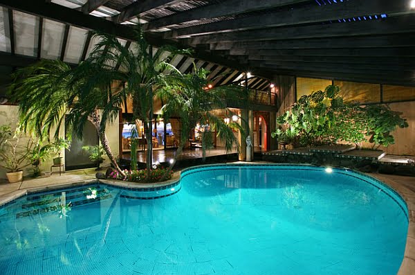 Pygmy-Date-Palms-at-the-edge-of-the-pool-usher-in-tropical-style