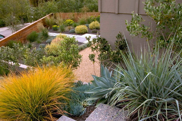 Simple Modern Xeriscaping Ideas For Your Outdoor Space