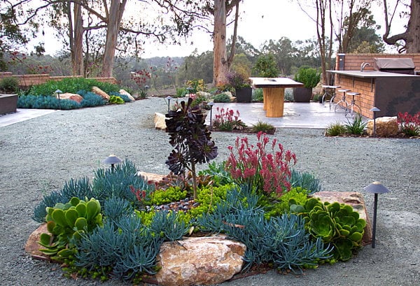 Superb use of color in xeriscaped yard