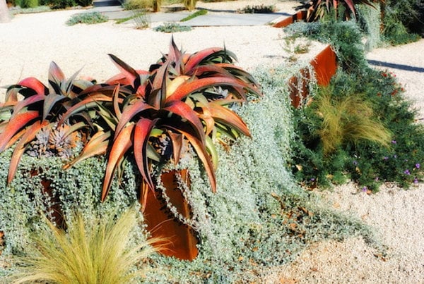 homesthetics-Terraced-xeriscaping-in-a-modern-yard