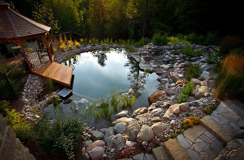 A Natural Pool Area That Enhances Both the Appeal of the Backyard Landscaping and Your Own Health