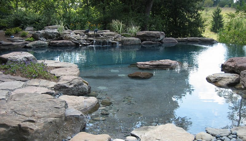 Natural and Serene Look in a Pool with Waterfall