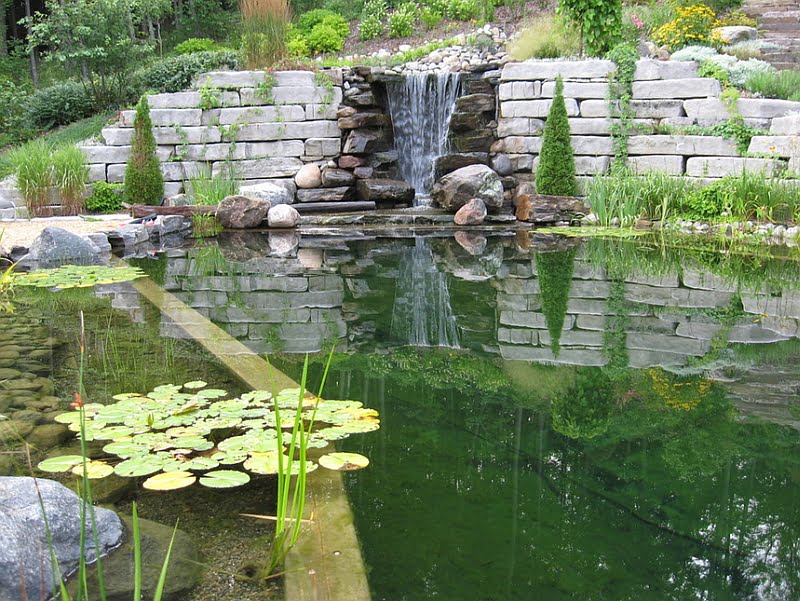 Spectacular Natural Pool with Waterfall Fed by a Hillside Creek