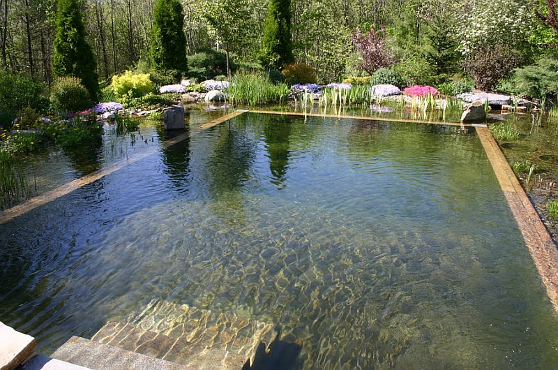 Canopy That Surrounds the Pool Defining Its Natural Relaxing Appeal