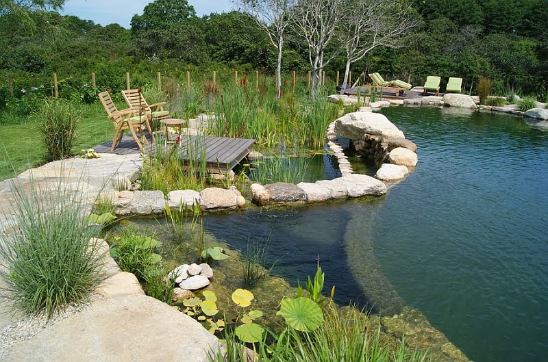 Beautiful Simple Natural Pool