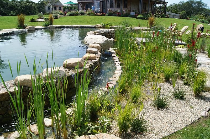 Tropical Flavor Added To a Natural Pool Through Plants