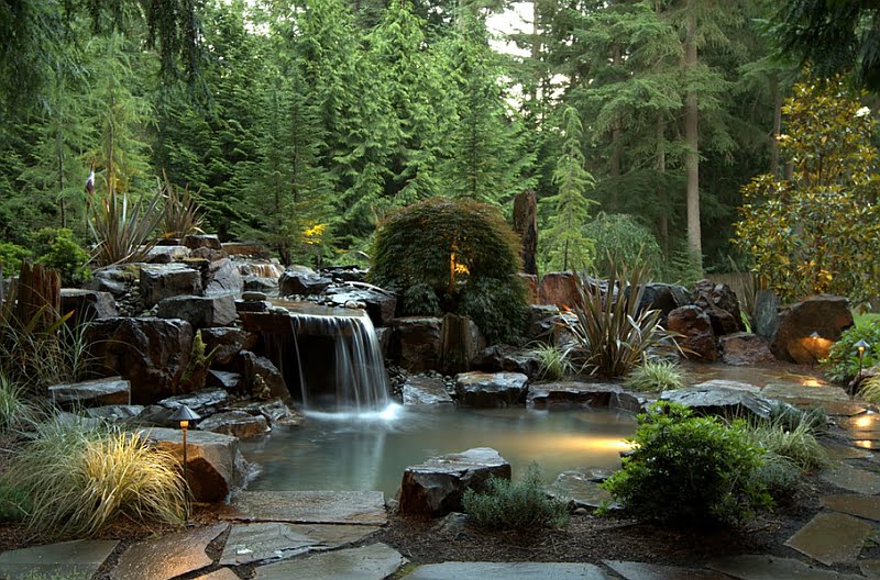 Basalt Rocks Along Japanese Maple and Dreamy Waterfall Shaping the Stunning Pool Retreat