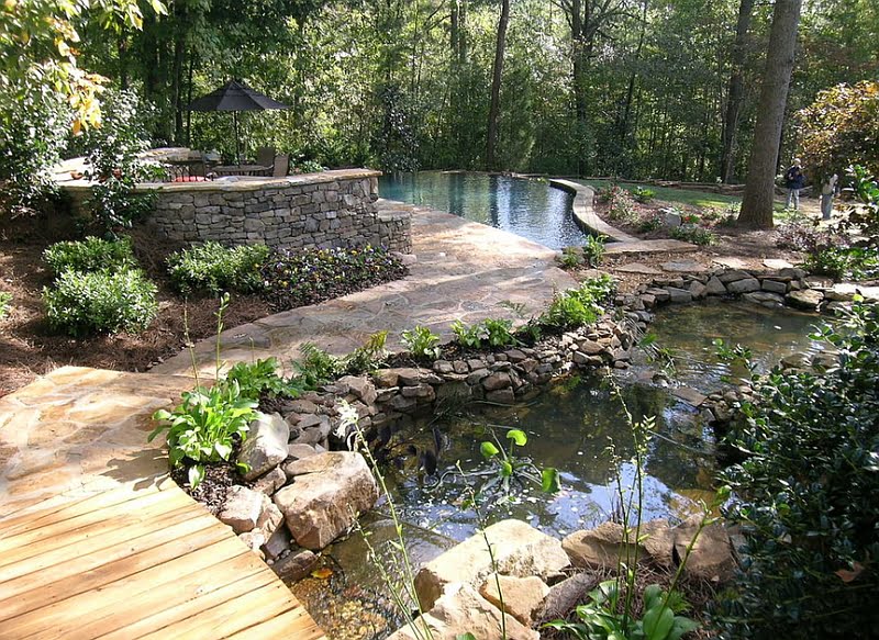 Natural Pool Coupled With Multiple Ponds and Intricate Pathways in an Extensive Natural Landscape