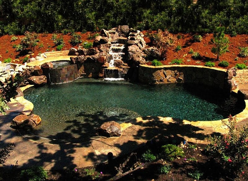 Surround Your Natural Swimming Pool with the Right Plants and Shrubs
