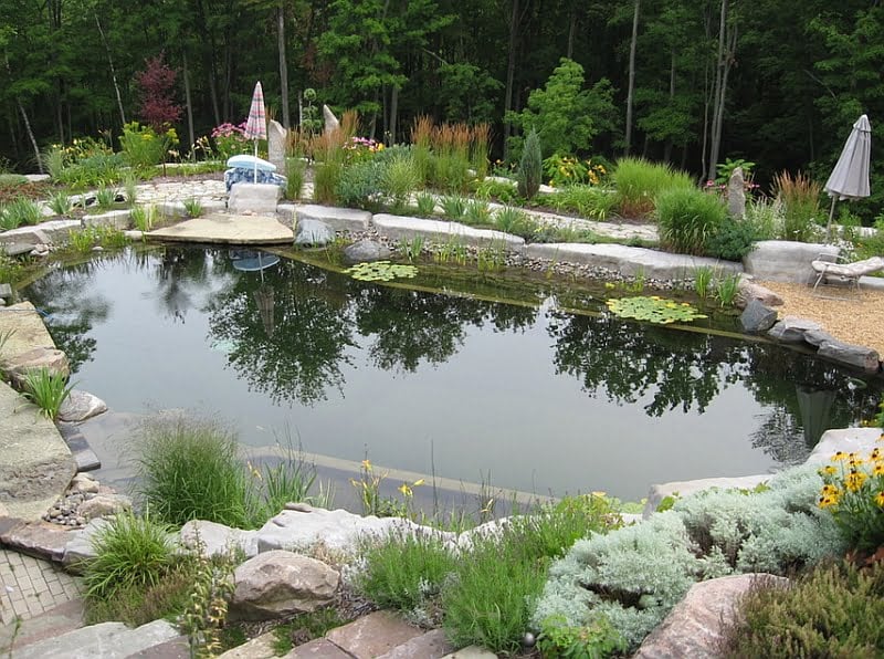 A Natural Refreshing Pool That Replicates a Pond in The Forest