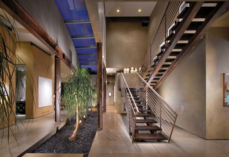 Ponytails Palms Row in a Well Lit Interior Through a Skylight