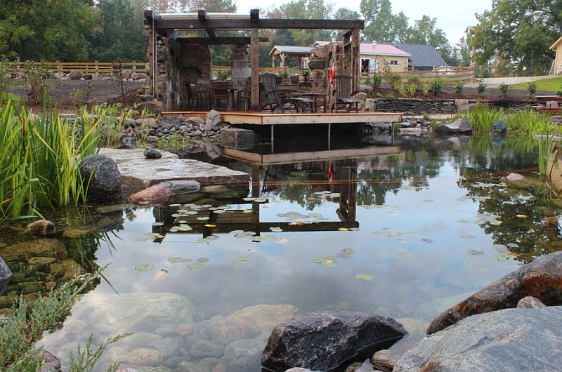 Rustic Natural Pool with a Farm Backdrop and Faux Ruin Shelter