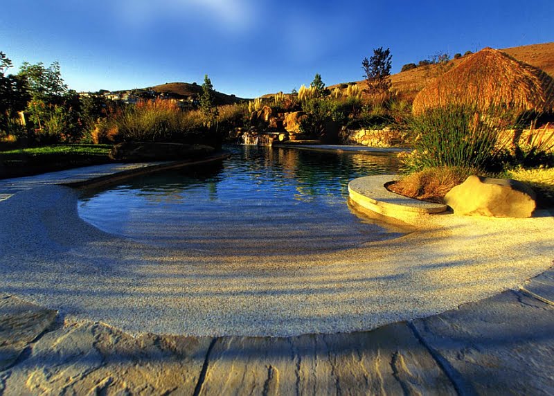 Stunning Natural Pool San Francisco That Presents a Tropical Beach In Your Backyard