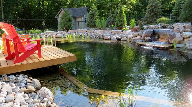 Escape the Rush of Urban Life with a Relaxing Pond
