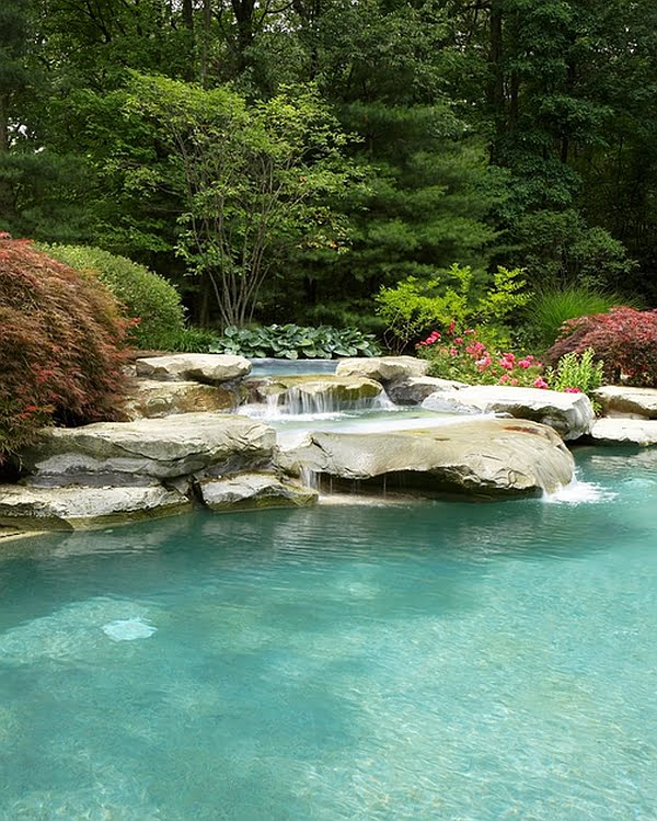 Waterfall Pool Surrounded by a Natural Scenery