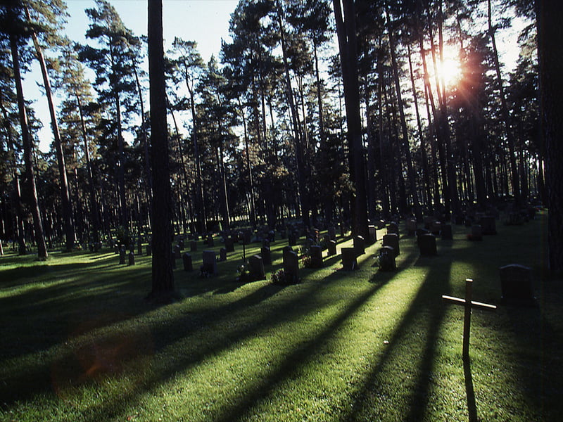 Gallery03_WCemetary_01_800x600