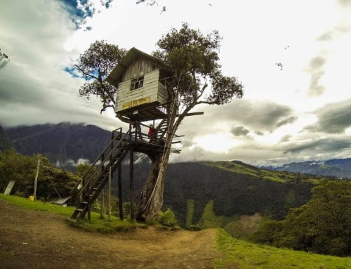 35 Spectacular Swings You Should Definitely Try Once in Your Lifetime swing at the end of the world