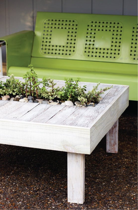 Easy DIY Garden Projects You Can Start Now