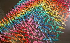 Guide on How to Create a Colorful Rainbow DIY Crane Curtain [Detailed Instructions] homesthetics (3)