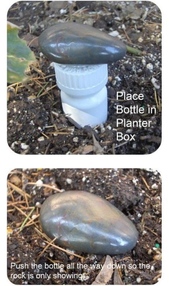 Simple Plastic Bottle Buried in the Ground and Marked by One Rock