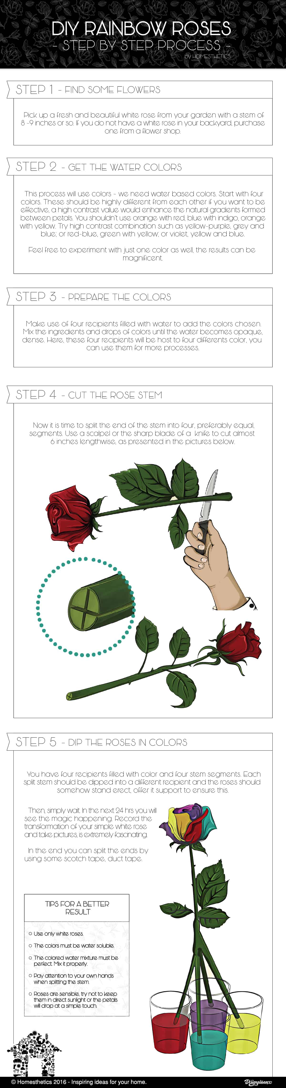 rainbow roses step by step tutorial infographic