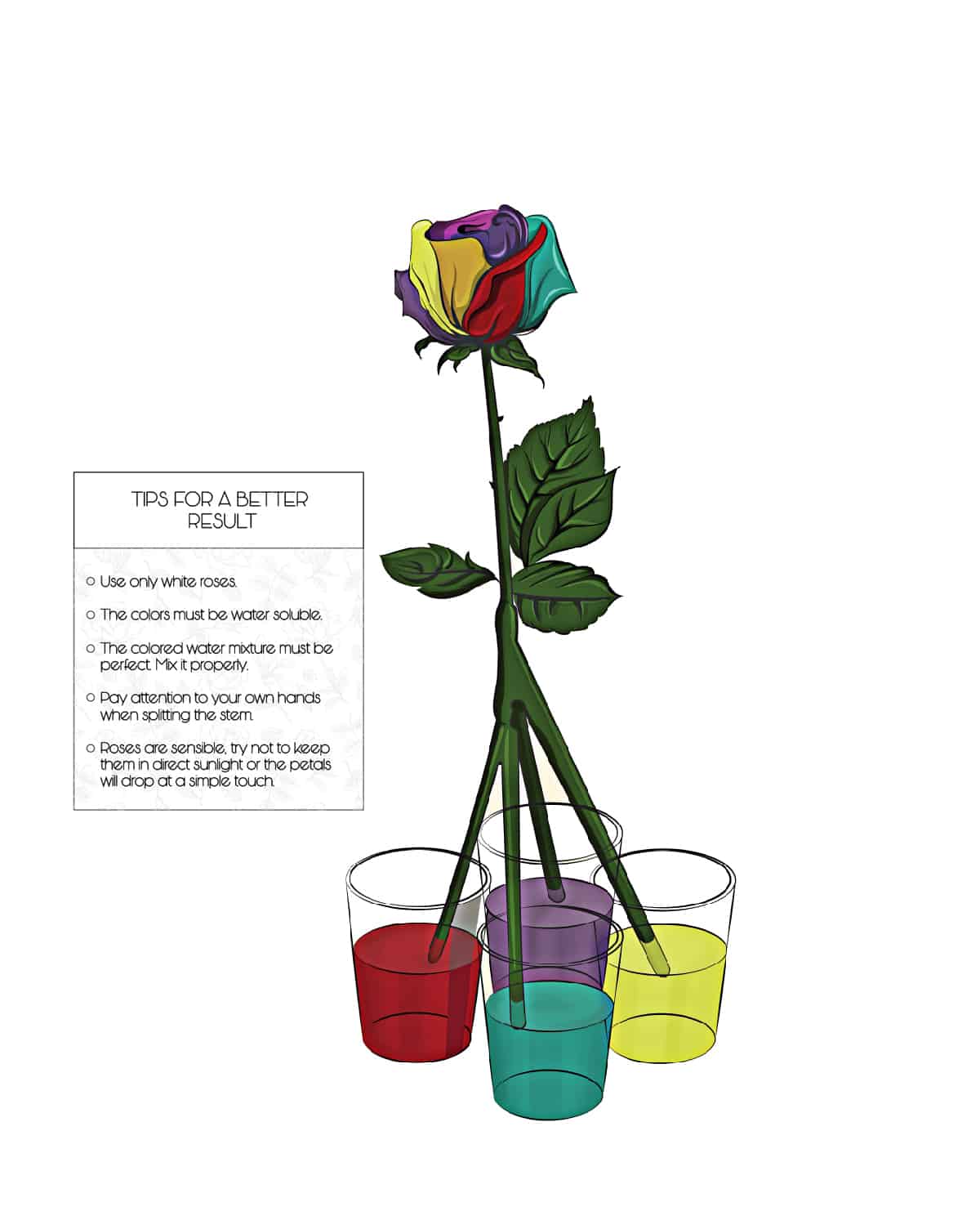 coloring rainbow roses step 6