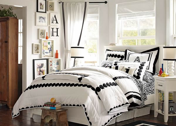 Black and White Zebra Inspired Young Girls Room