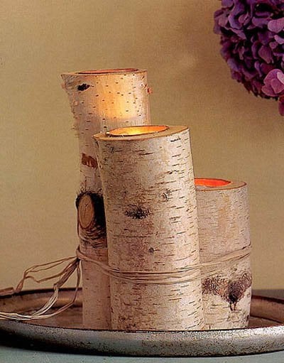 23 Creative Craft Ideas- How To Use Tree Branches-HOMESTHETICS (5)